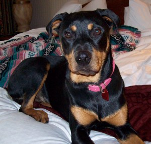 BabyDoll Today (12 months)