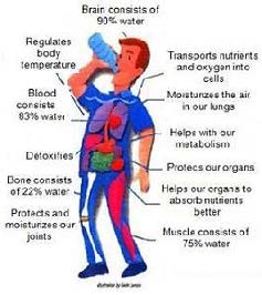 11 Benefits of Drinking Water