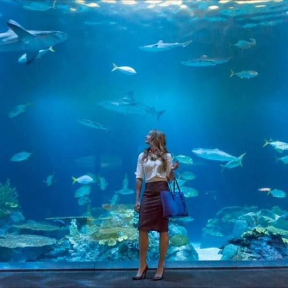 Katie's authentic creativity came to life in her darlingdressedduo blog, she was recently recognized by Crain's Business Chicago and photographed at one of her favorite places, Shedd Aquariam.
